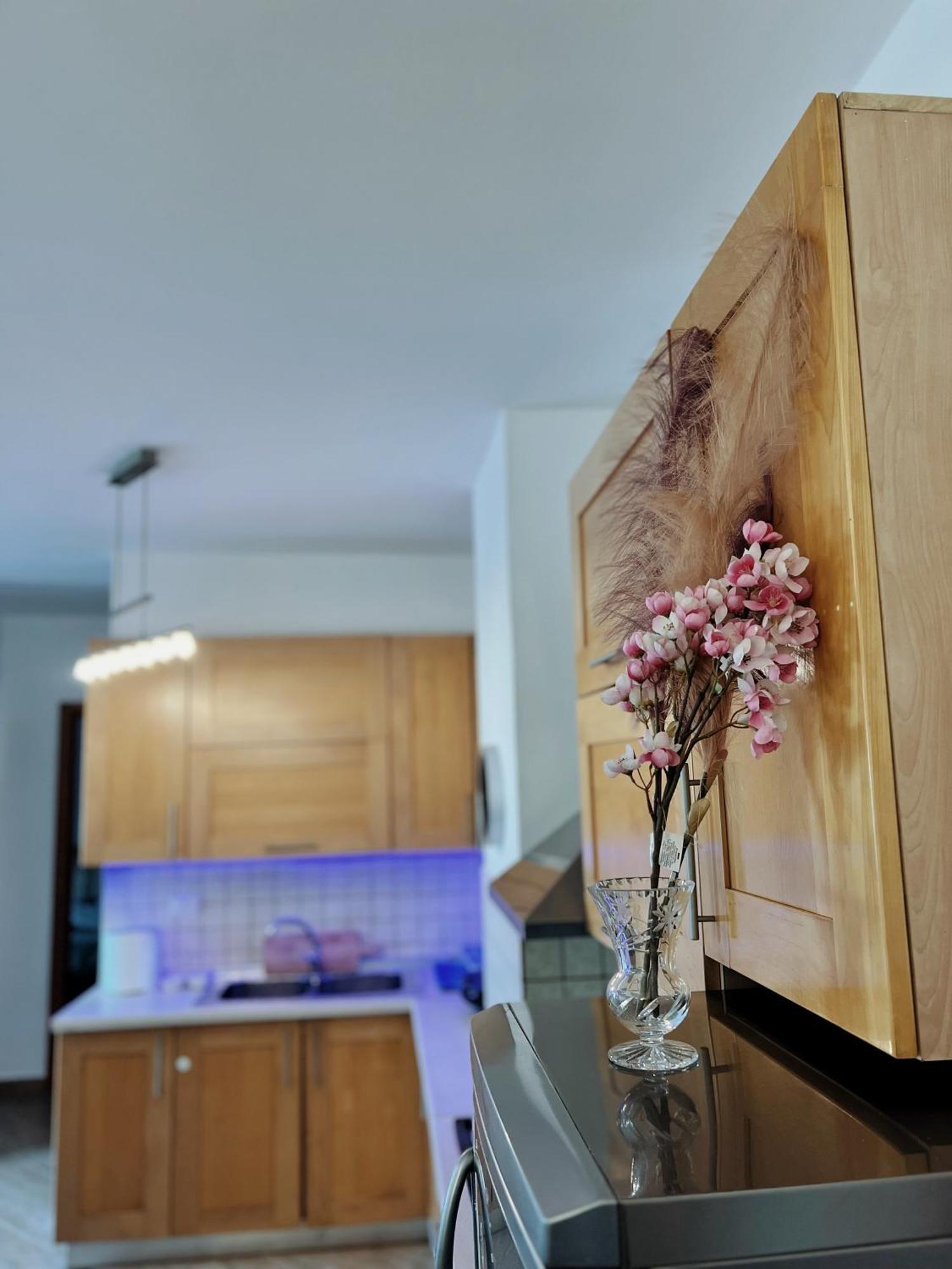 Lovely Apartment Tiran Dış mekan fotoğraf